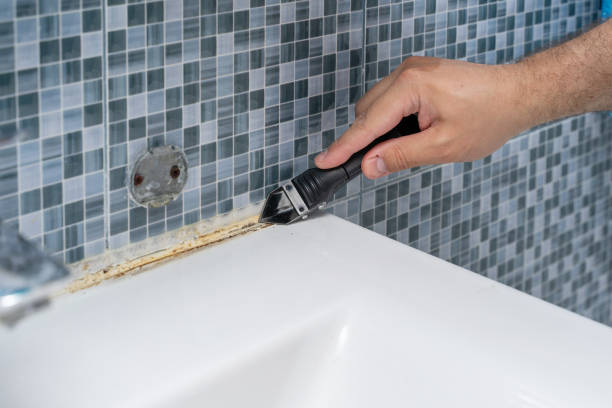 Best Mold Remediation Services  in Chilton, WI