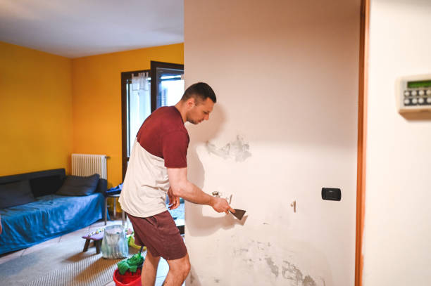 Best Local Mold Removal Service  in Chilton, WI